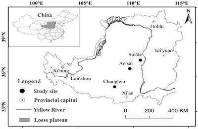 Effects of Slope Aspect and Rainfall on Belowground Deep Fine Root Traits and Aboveground Tree Height